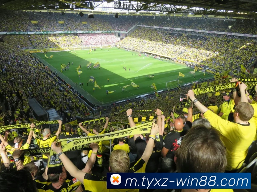 体育下注平台品牌故事